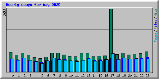Hourly usage for May 2025