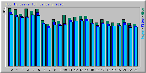 Hourly usage for January 2026