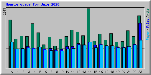 Hourly usage for July 2026
