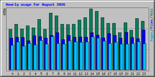Hourly usage for August 2026